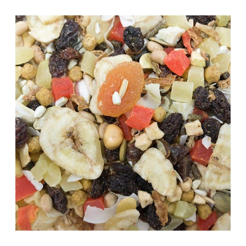 Higgins Sunburst Fruits & Veggies Gourmet Treats For Conures, Parrots