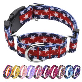 Hikiko American Flag Martingale Collar with Buckle Adjustable Soft Nylon Dog Collars for Small Medium Large Dog (Star,Medium)