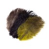 OFT Feather Ostrich Ploom KI