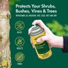 Treekote Tree Wound Dressing - 8 OZ Aerosol Pruning Sealer