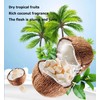 Dried Coconut Chunks Unsweetened Natural Coconut Crunchy Snacks Healthy Tropical
