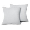 EDOW Throw Pillow Inserts, Set of 2 Lightweight Down Alternative