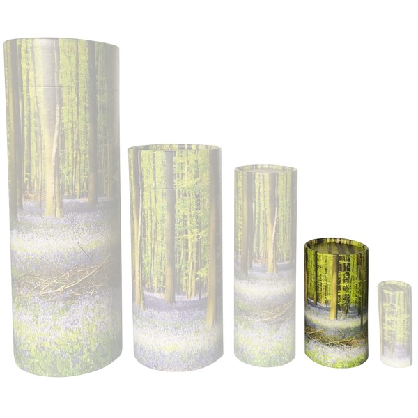Bluebell Wood Scatter Tubes for Adult Ashes – Biodegradable Cardboard Cremation Urns (Extra Small), Multicolor