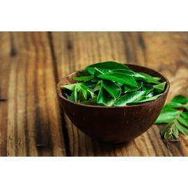 Fresh Curry Leaves I Murraya koenigii I 50G