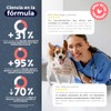 Waggys NAD+, Suplemento Antiedad y Longevidad para Perros, 60 pzs
