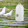 Zerodeko 2PCS Bird Water Drinker, Pigeon Water Dispenser, Parakeet Dove