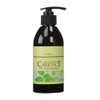 Napra Care Tech HB Color Shampoo, Small, 10.1 fl oz