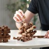 Double Lock-a-Ball Brain Teaser: Mechanical Interlocking 3D Wooden Puzzle for
