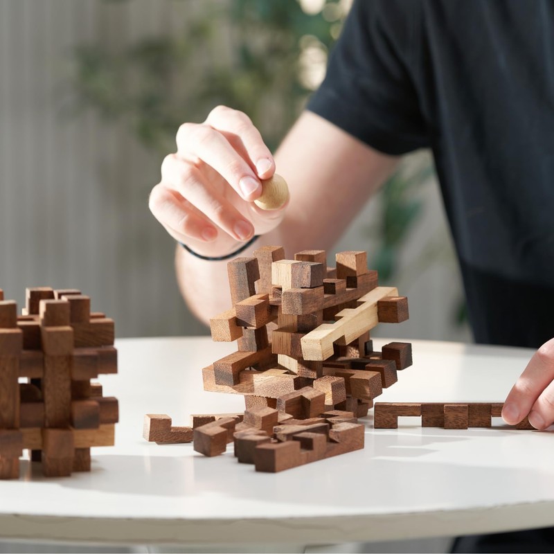 Double Lock-a-Ball Brain Teaser: Mechanical Interlocking 3D Wooden Puzzle for