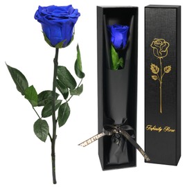 Yamonic Infinity Rose Blue with Stem Gifts for Women, Real Rose Birthday Gift for Women, Eternal Rose in Gift Box, Preserved Flower for Christmas Mum, Decorative Gift, Gifts for Mum