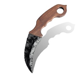 BAOHEM ”The symbol of power“ - Natural Dragon Crystal Obsidian Claw Knife, Obsidian Hand Strike Knife, Balance and Healing for Body and Mind, Home Desktop Decoration