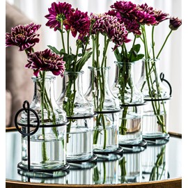 5pc Glass Flower Vase with Metal Holder, Best Vases for Flowers, Set for Home Decor, Wedding Decorations, Table Decor, Kitchen, Bathroom, Bedroom, Shelf Decor, Best Modern Vase for Flower Arrangement
