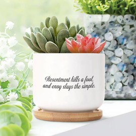 DecStic Resentment Kills A Fool, and Envy Slays The Simple Ceramic Planter Bible Verse Planters for Indoor Plants with Drainage Holes and Saucers Pot for Home Office Desk Garden