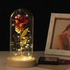 Rose in Glass Dome Lucky Beautiful Symbolism Romantic Enchanted Rose
