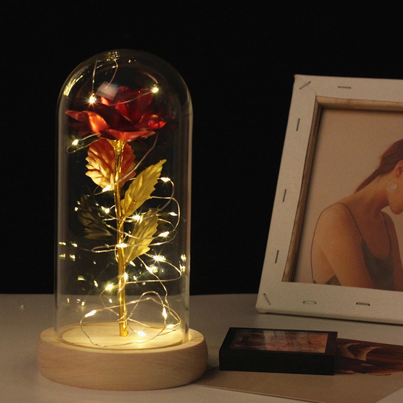 Rose in Glass Dome Lucky Beautiful Symbolism Romantic Enchanted Rose
