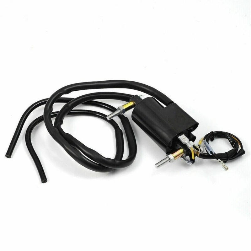 Unbranded 2X Ignition Coil Set Spark Plug For Suzuki Bandit