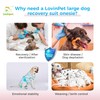 LovinPet Dog Cone Alternative After Surgery - Surgical Suit for