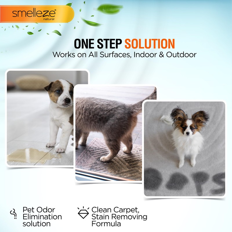 SMELLEZE Pet Pee Powder - Unscented Solidifier for Dog &