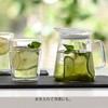 HARIO (ハリオ) Clear Simple Teapot without Lid 700ml FNC-70-T