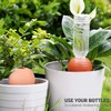 eusbon Plant Watering Globes Clay 400ml Large Self Watering Ball