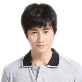 Dreambeauty Men's Wig Short Straight 100% Human Hair 黑色 Men's Full Wig. hand-applied Wisps Net for Short Medical Wear Wig Natural, Breathable, One Size Fits Most zs002