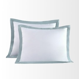 THE COTTON & SILK 100% Luxury Long-Staple Cotton Pillow Sham/Pillowcase, Set of 2, with Envelope Closure on The Back, White + Misty Blue, Queen Size