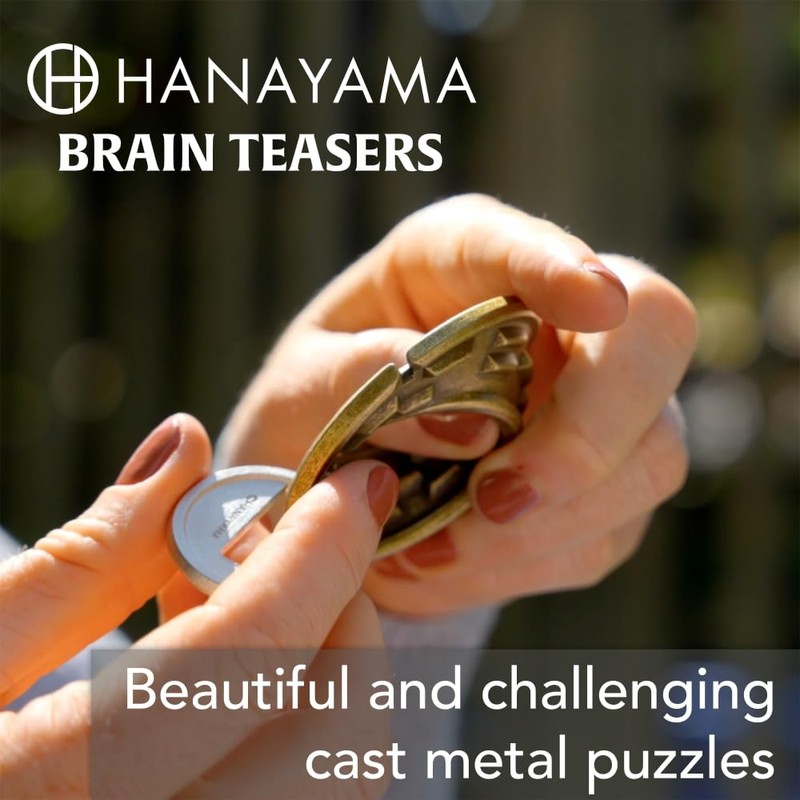 BePuzzled, Ripple Hanayama Cast Metal Brainteaser Puzzle Mensa Rated Level