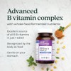 New Chapter New Chapter Vitamin B Complex C Fermented Coenzyme