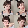 Cut wig short hair cute wig (KYR-W0EBFE7) Elin-black net / 컷트가발 숏헤어 귀여운가발 (KYR-W0EBFE7) 엘린-블랙망X