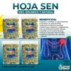 Natural de Mexico USA Hoja Sen Herbal Tea 1 Lb-453g