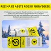 Staudt Unguento per ferite, 20 G