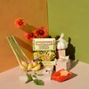 Fusion Flavors Dips and Seasonings Variety Packs - Variety 6