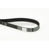 CONTITECH CT1101 Timing Belt