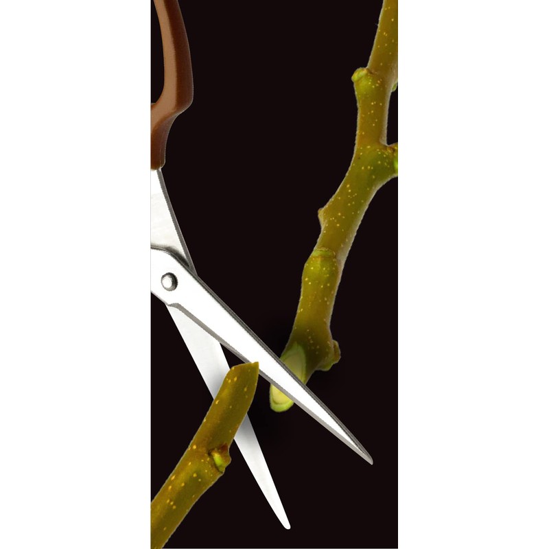 Takagi Stainless Steel Long Bud Cutting Shears with Main Blade,