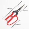 Geely Harvesting Shears with Guard Made in Japan, Harvesting Fruits