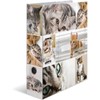 HERMA Lever Arch File Animals with Cats Motif, A4, 70