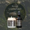 Hallow by Thor Bradley – A Dark Forest-Inspired Candle &