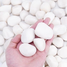 Pulovin 20 lbs White Rocks for Plants Indoor, 1-2 inch Decorative Garden Stone Outdoor Landscaping, Walkways, Yard, Large Polished River Rocks for Plants Pots, Vases, Crafts