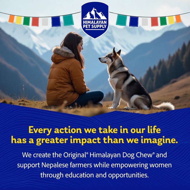 Himalayan Dog Chew Original Yak Cheese Chew, Bacon, 1 X-Large