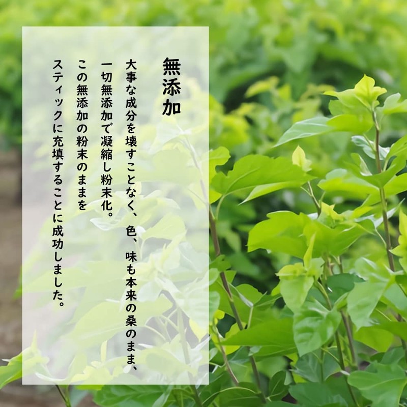 Kyono Kowori Legend (Mulberry Leaf Powder Tea, Green Soup) 30
