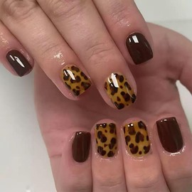 Leopard Print Press-On Nails Short Square False Nails with Patterns Autumn and Winter Red Acrylic False Nails Solid Color Glossy Glue Nails Reusable Holiday Daily Wear for Women 24 Pieces