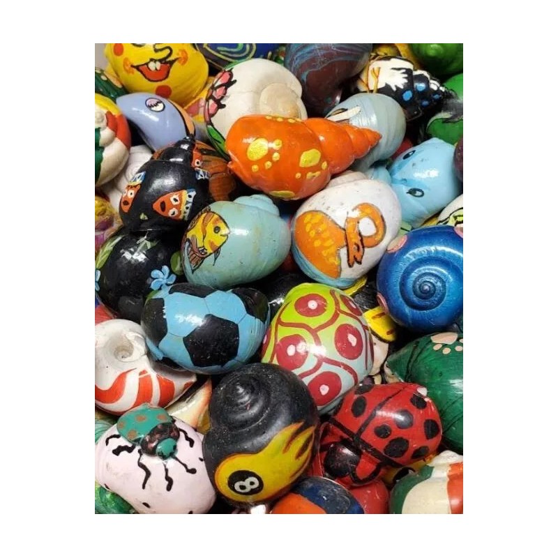 3 RANDOM Painted Hermit Crab Shell Turbo Novelty Aprox 1