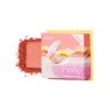 Benefit Blusher Dandelion Mini and 4 other types / 베네피트