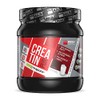 Frey Nutrition Pure Creatine, 1 Pack (1 x 500 g)