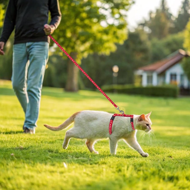 PAWCHIE Cat Harness with Leash and Collar Set - Escape
