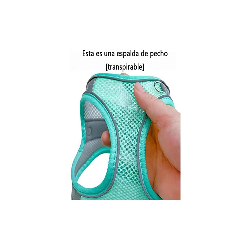 Pechera Arnés Transpirable Cómodo con Correa para Perro Gato,con Tira