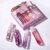 Brillo De Labios Nutritivo Con Aroma A Frutas En Rollo
