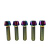 RISON-Titanium 5 pieces titanium bicycle stem screws, M6 x 1.0