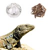 SEZDEKI Bearded Dragon Feeder Toy - Reptile Foraging Ball Lizard