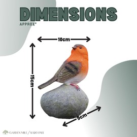 Homezone® Robin Redbreast Perched On Stones Resin Bird Set Highly Detailed Garden Ornaments Christmas Decoration Indoor Or Outdoor Use.